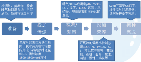 生物接触氧化池采用活性污泥接种