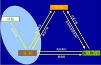 如何保证循环冷却水系统的安全稳定运行