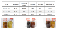 渗滤液COD去除技术